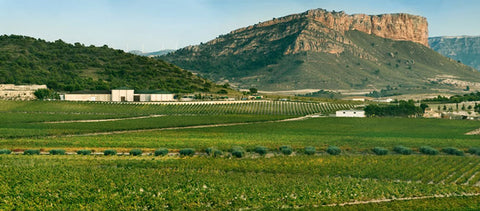 Bodegas Juan Gil: Un Éxito en el Mercado Mexicano