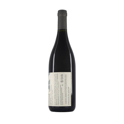 LIVVERA SANGIOVESE - Escala Humana